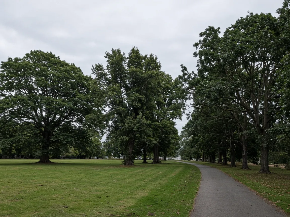 Trees and open ground in Beveridge Park, Kirkcaldy, Fife